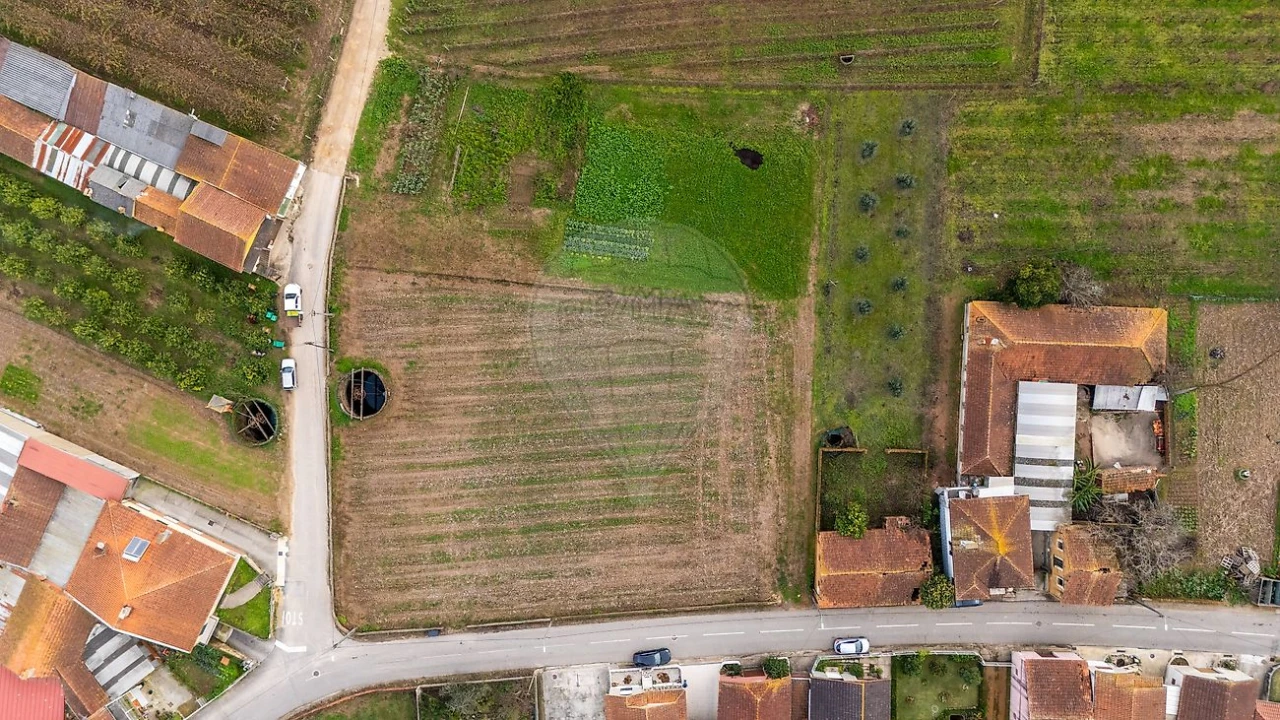 Terreno para Venda em Bustos, Troviscal e Mamarrosa Foto 3