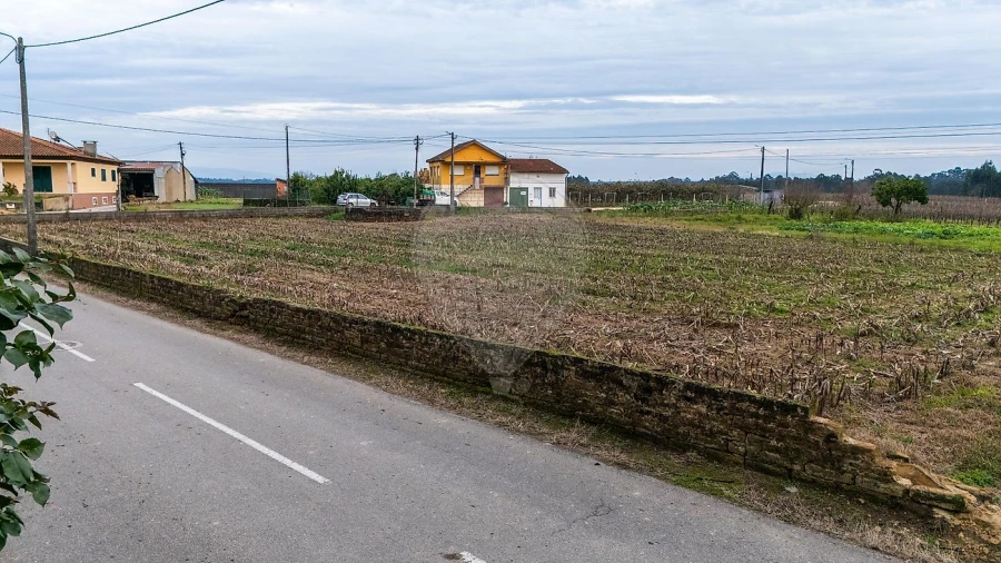 Terreno para Venda em Bustos, Troviscal e Mamarrosa Foto 16