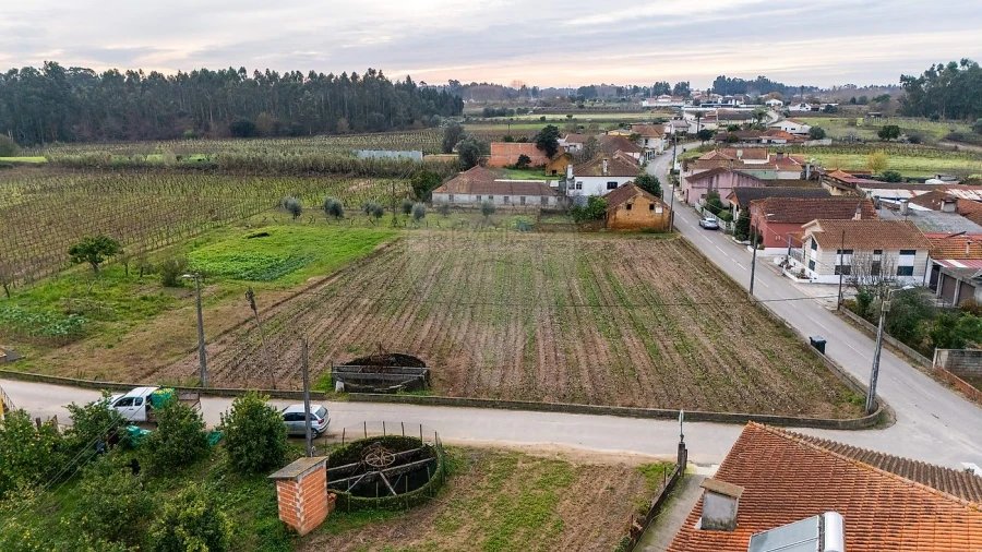 Terreno para Venda em Bustos, Troviscal e Mamarrosa Foto 11
