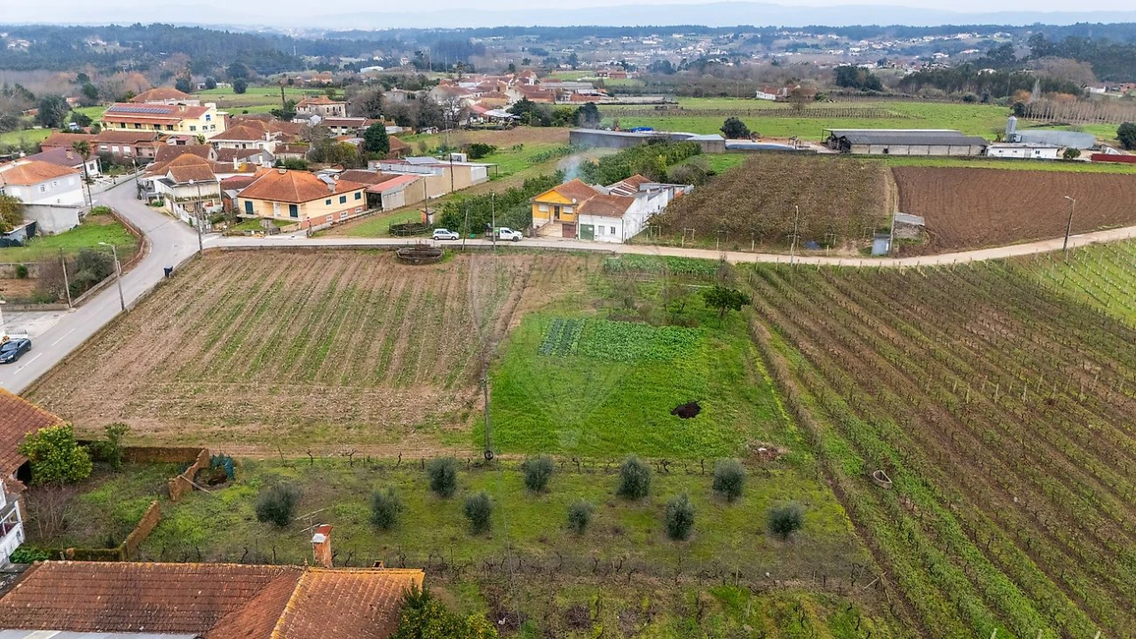 Terreno para Venda em Bustos, Troviscal e Mamarrosa Foto 9