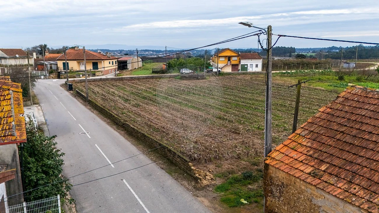 Terreno para Venda em Bustos, Troviscal e Mamarrosa Foto 16