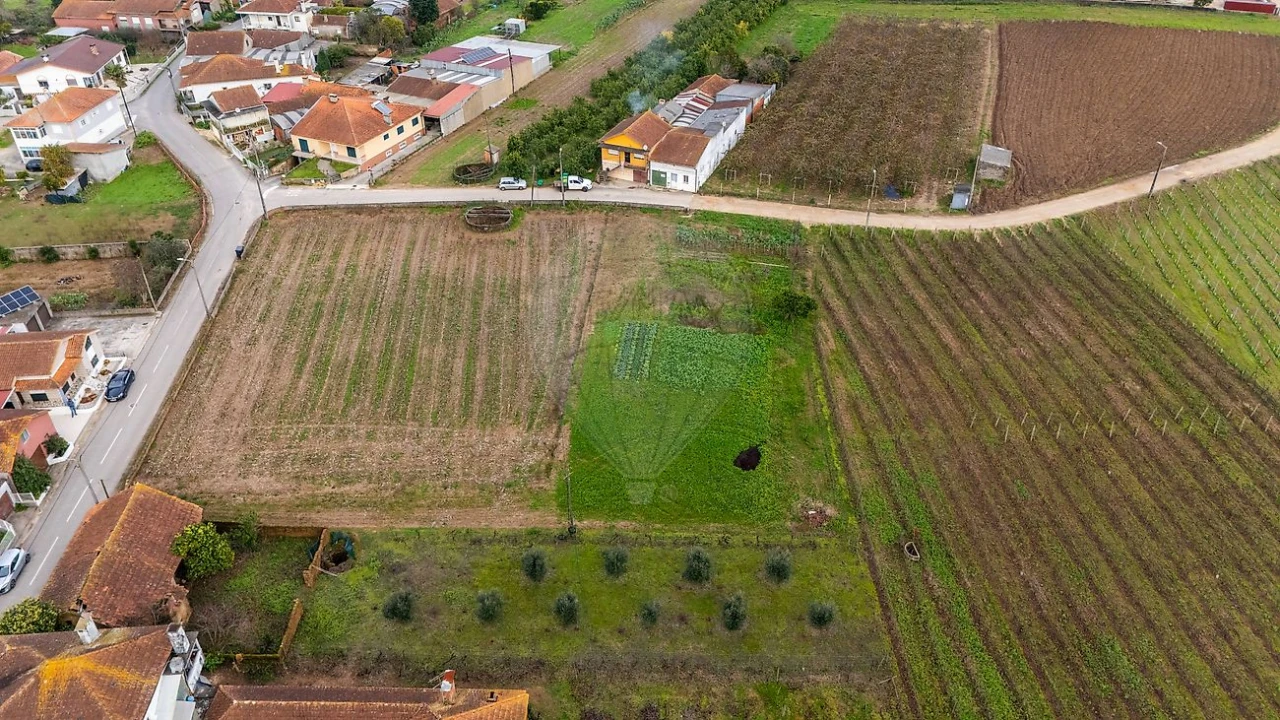 Terreno para Venda em Bustos, Troviscal e Mamarrosa Foto 9