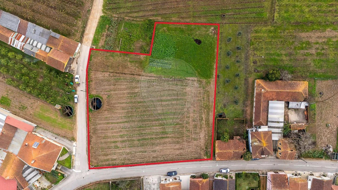 Terreno para Venda em Bustos, Troviscal e Mamarrosa Foto 1