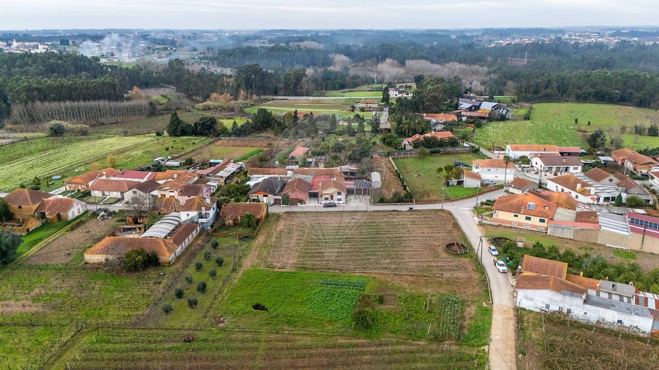 Terreno para Venda em Bustos, Troviscal e Mamarrosa Foto 7