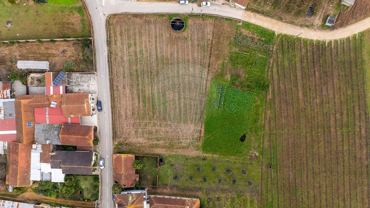 Terreno para Venda em Bustos, Troviscal e Mamarrosa Foto 3