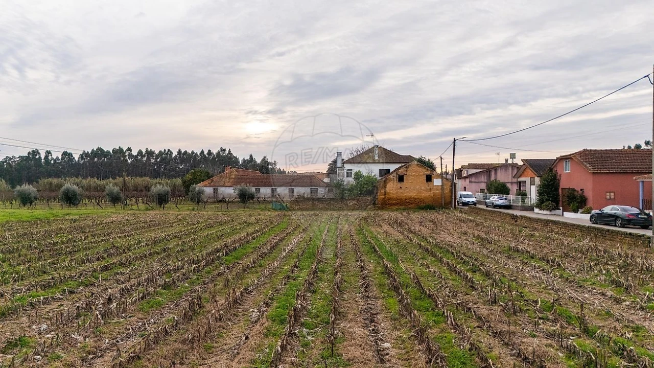Terreno para Venda em Bustos, Troviscal e Mamarrosa Foto 20