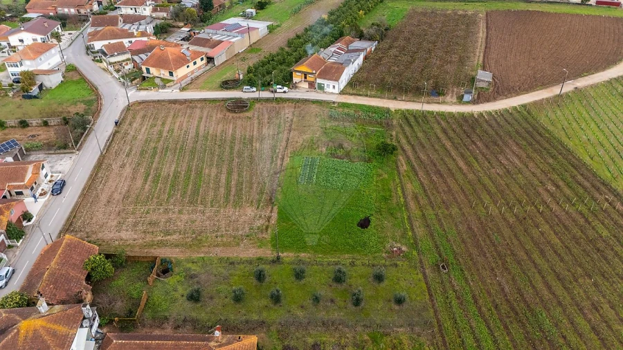 Terreno para Venda em Bustos, Troviscal e Mamarrosa Foto 9
