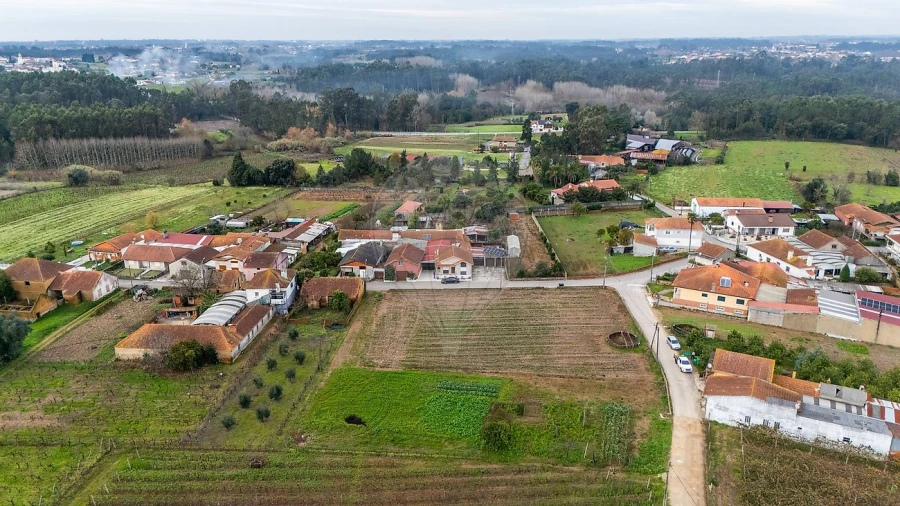 Terreno para Venda em Bustos, Troviscal e Mamarrosa Foto 7