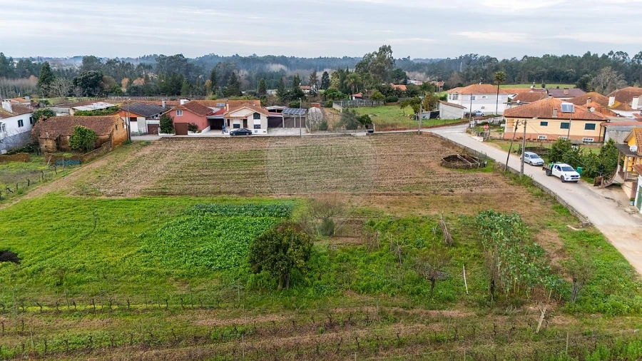 Terreno para Venda em Bustos, Troviscal e Mamarrosa Foto 10