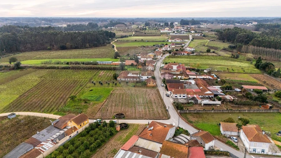 Terreno para Venda em Bustos, Troviscal e Mamarrosa Foto 5