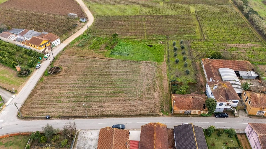 Terreno para Venda em Bustos, Troviscal e Mamarrosa Foto 6