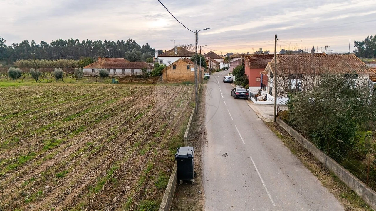 Terreno para Venda em Bustos, Troviscal e Mamarrosa Foto 21