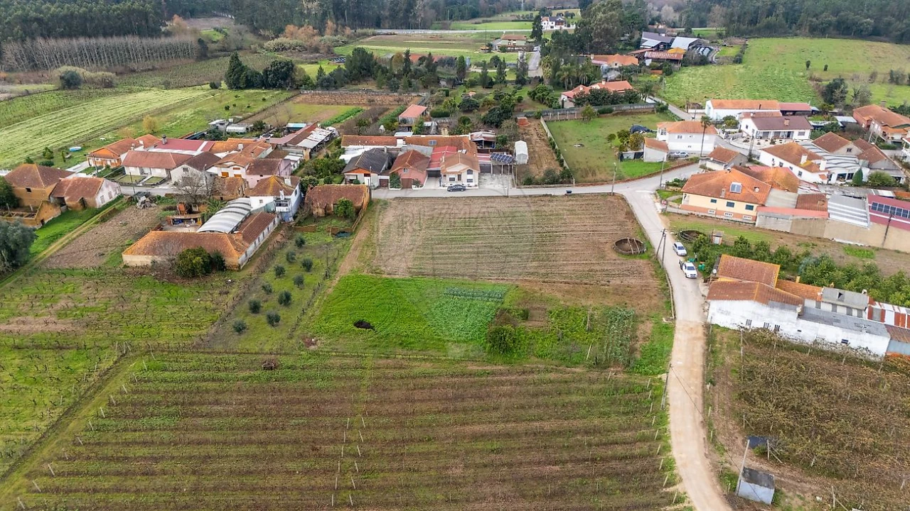 Terreno para Venda em Bustos, Troviscal e Mamarrosa Foto 2