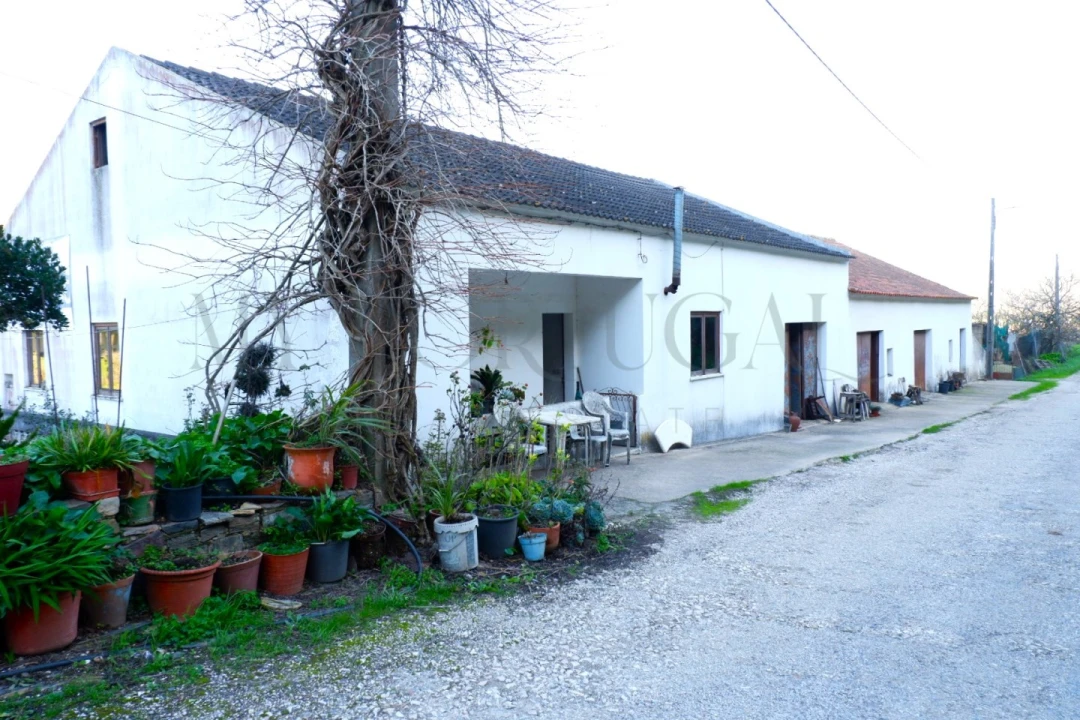 Quinta T4 para Venda em Odeceixe Foto 4