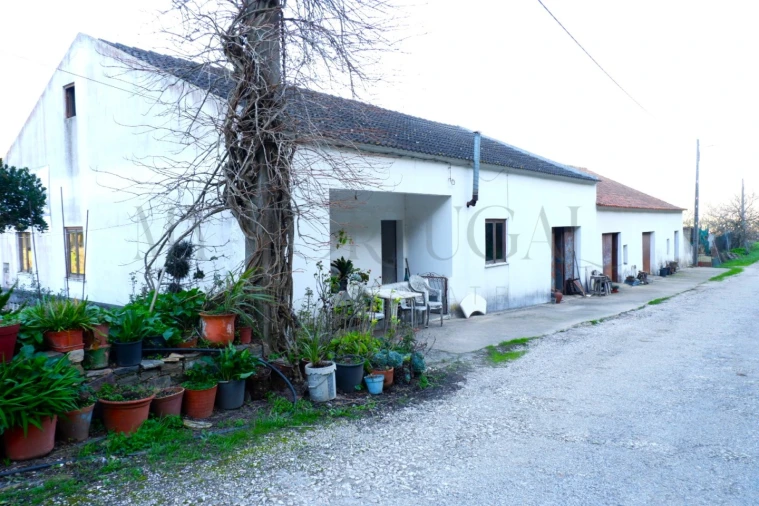 Quinta T4 para Venda em Odeceixe Foto 4