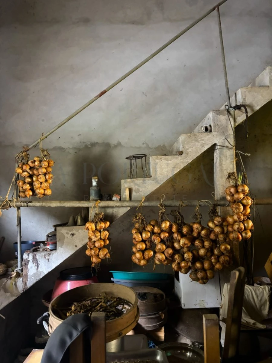 Quinta T4 para Venda em Odeceixe Foto 6