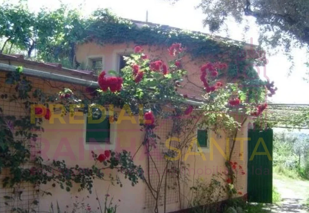 Quinta T2 para Venda em Midões Foto 4