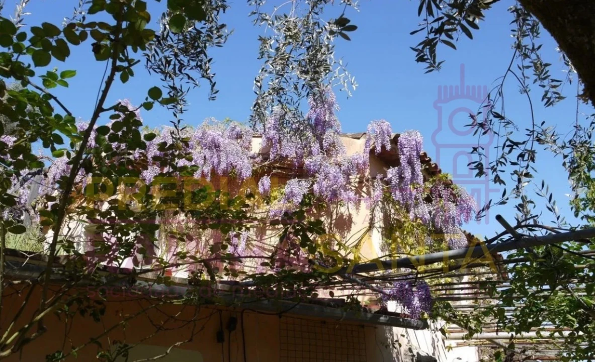 Quinta T2 para Venda em Midões Foto 5