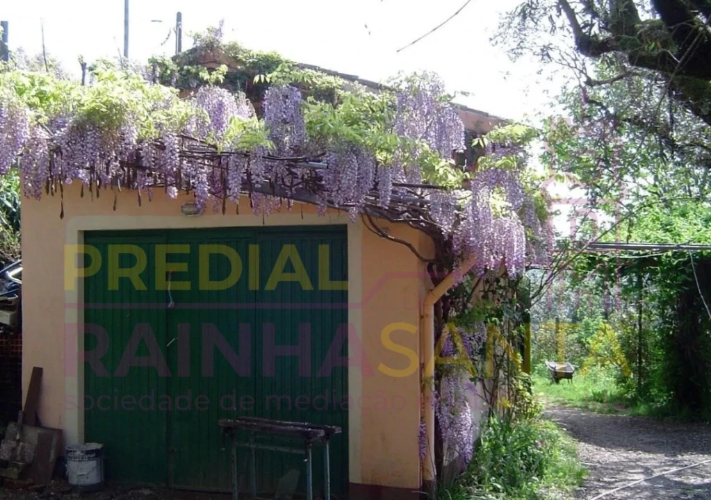 Quinta T2 para Venda em Midões Foto 7