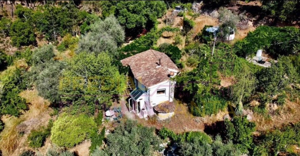 Quinta T2 para Venda em Midões Foto 2