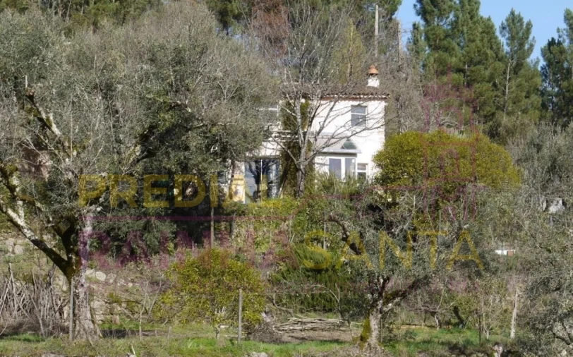 Quinta T2 para Venda em Midões Foto 1