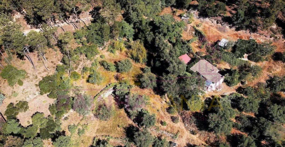 Quinta T2 para Venda em Midões Foto 6