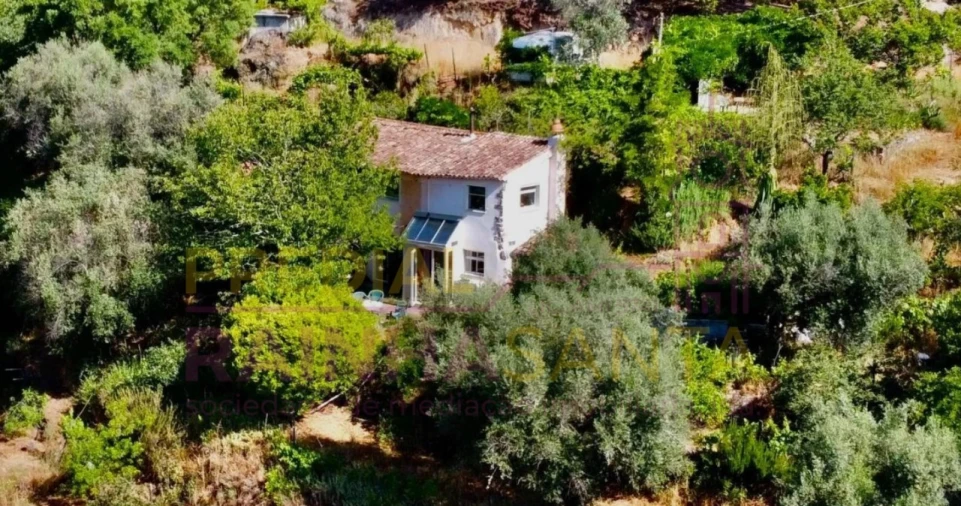 Quinta T2 para Venda em Midões Foto 3