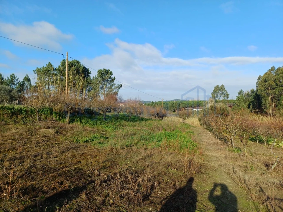 Terreno para Venda em Leiria, Pousos, Barreira e Cortes Foto 7