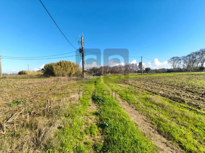Terreno para Venda em Alpiarça