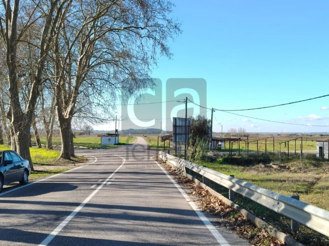 Terreno para Venda em Alpiarça Foto 10