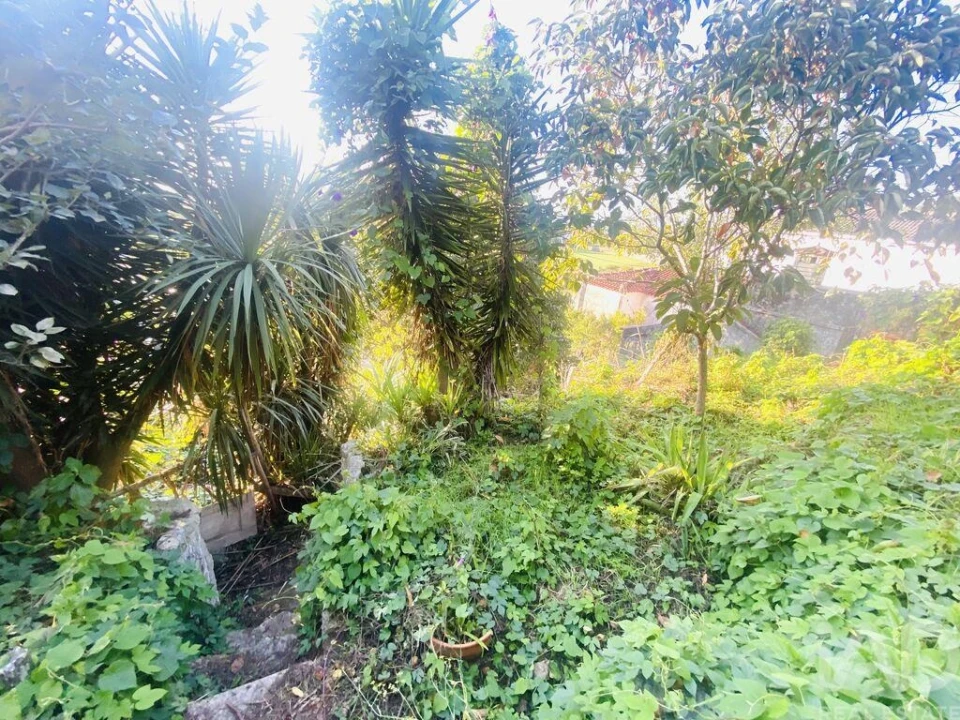 Moradia T2 para Venda em Vila Nova de Cerveira e Lovelhe Foto 20