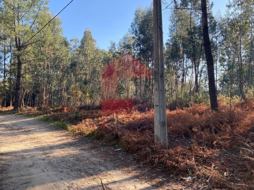 Terreno para Venda em Escariz (São Mamede) e Escariz (São Martinho) Foto 32