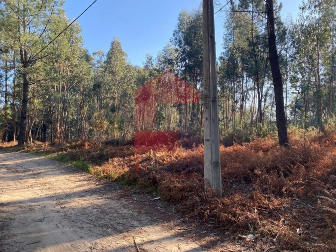 Terreno para Venda em Escariz (São Mamede) e Escariz (São Martinho) Foto 35