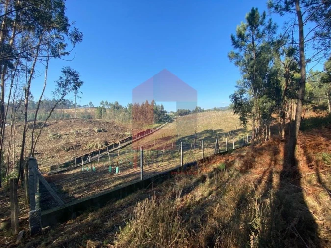 Terreno para Venda em Escariz (São Mamede) e Escariz (São Martinho) Foto 23