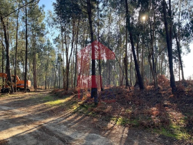 Terreno para Venda em Escariz (São Mamede) e Escariz (São Martinho) Foto 27