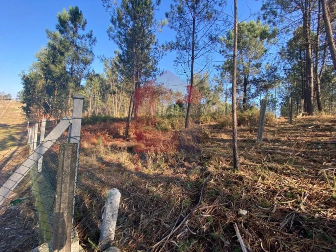 Terreno para Venda em Escariz (São Mamede) e Escariz (São Martinho) Foto 19