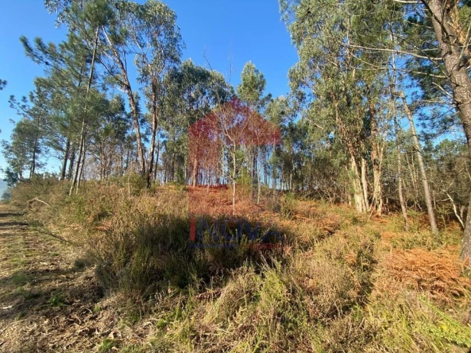 Terreno para Venda em Escariz (São Mamede) e Escariz (São Martinho) Foto 2