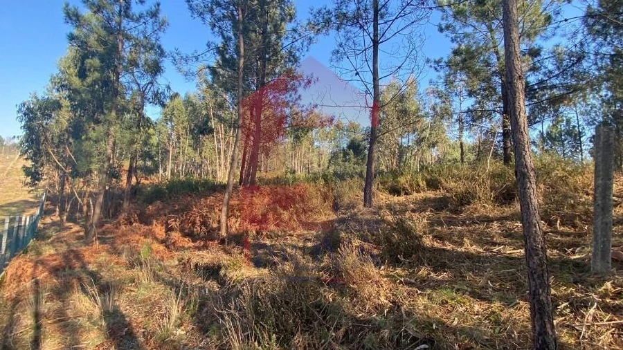 Terreno para Venda em Escariz (São Mamede) e Escariz (São Martinho)