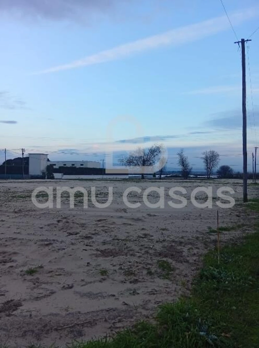 Terreno para Venda em Ovar, São João, Arada e São Vicente de Pereira Jusã Foto 3