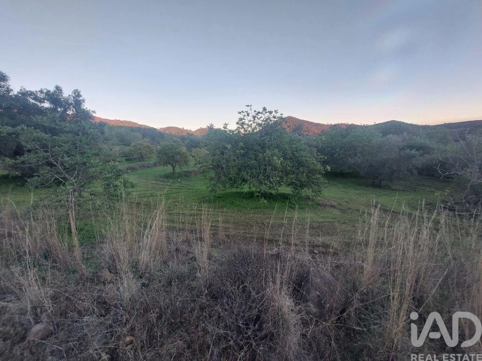 Moradia T3 para Venda em Querença, Tôr e Benafim Foto 34