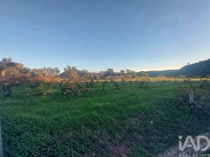 Moradia T3 para Venda em Querença, Tôr e Benafim Foto 35