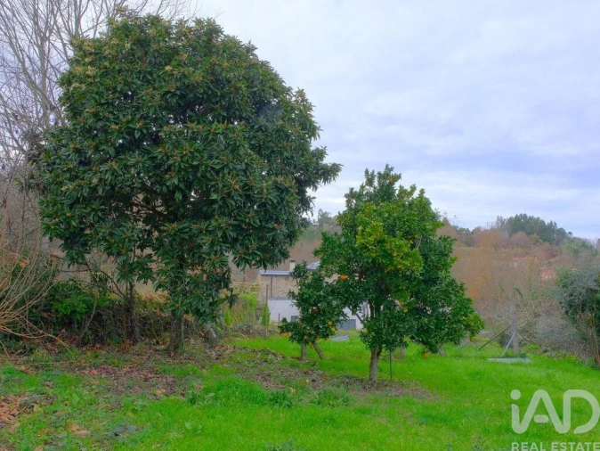 Moradia T6 para Venda em São Pedro do Sul, Várzea e Baiões Foto 17