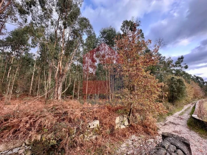 Terreno para Venda em Cervães
