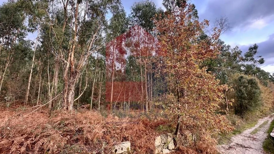 Terreno para Venda em Cervães