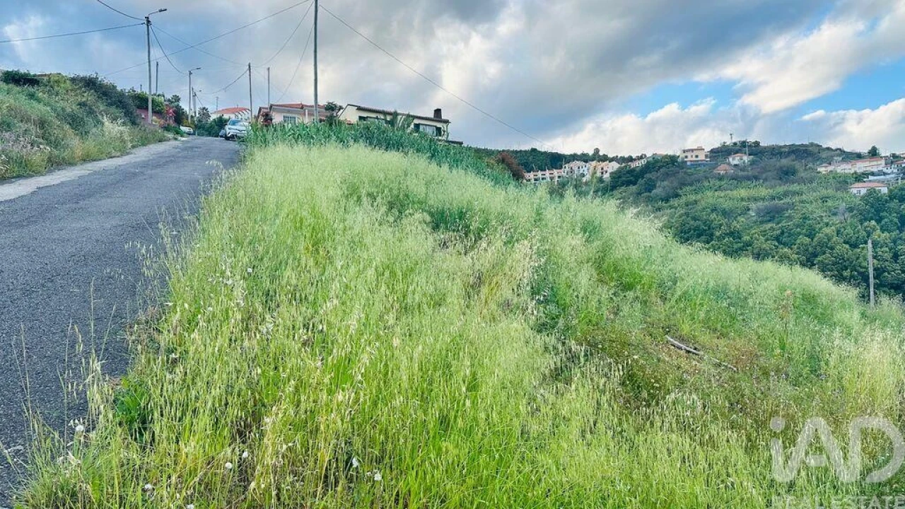 Terreno para Venda em Gaula Foto 4