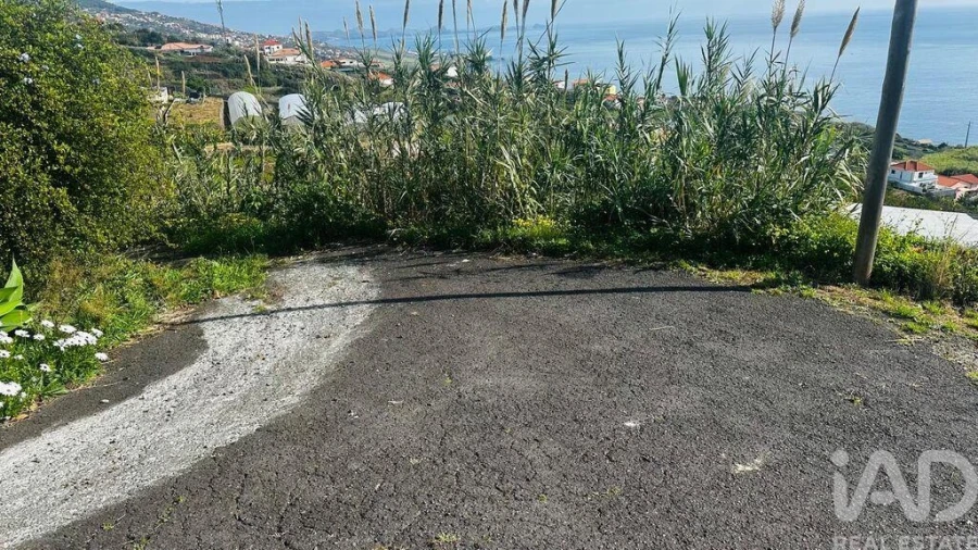 Terreno para Venda em Gaula Foto 13