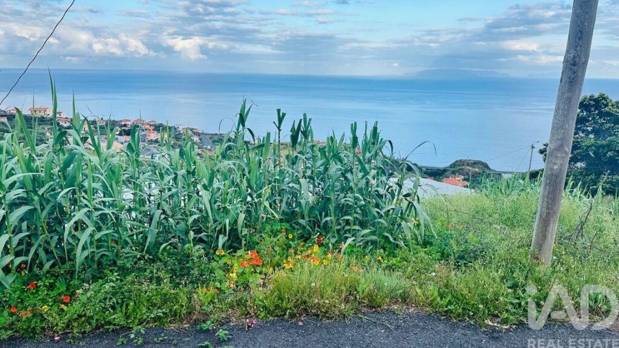 Terreno para Venda em Gaula Foto 10