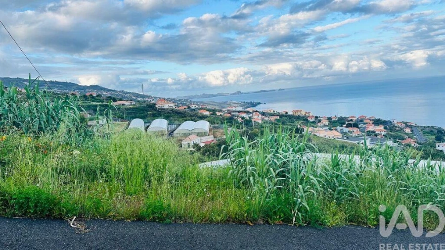 Terreno para Venda em Gaula Foto 9