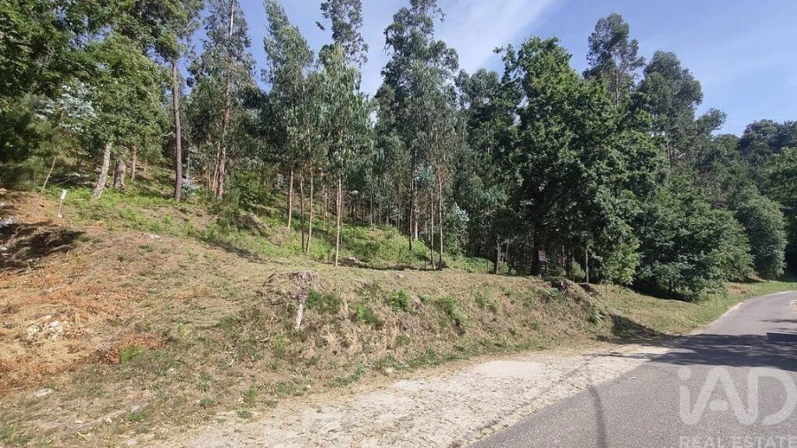Terreno para Venda em Valença, Cristelo Covo e Arão