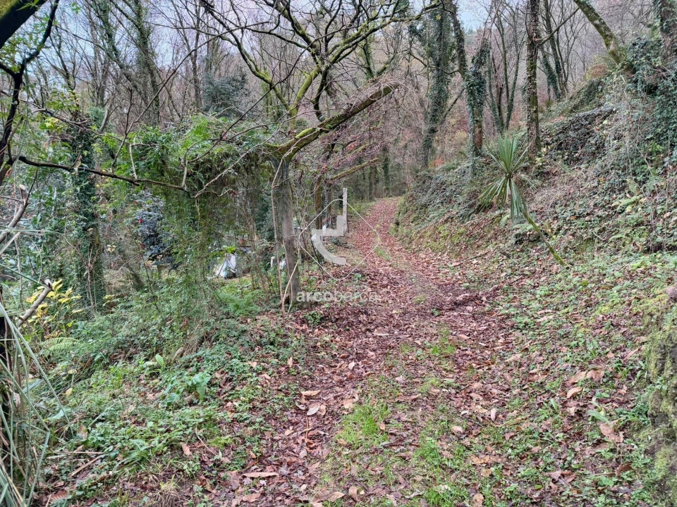 Terreno para Venda em Guilhadeses e Santar Foto 12